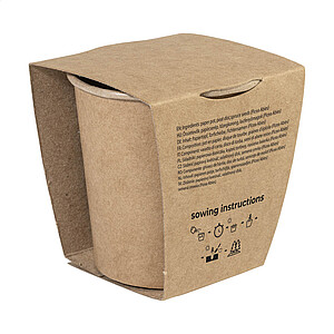 Christmas tree growing kit