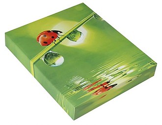 Corporate gift boxes