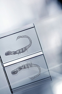 glass block