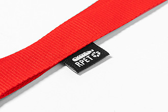 lanyard