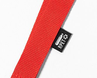 lanyard