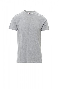 Men’s T-shirt PAYPER PRINT, grey melange, L