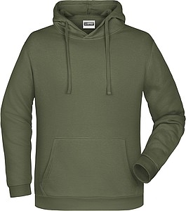 Mens sweatshirt with hoodie James Nicholson, dark khaki, L
