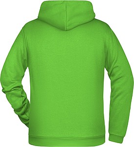 Mens sweatshirt with hoodie James Nicholson, lime green, 4XL