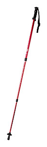 nordic walking sticks