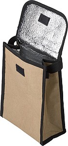 Paper cooler bag