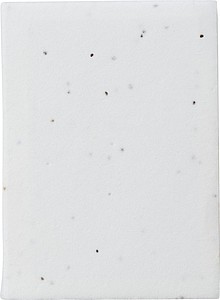 Paper sticky notes Patricia