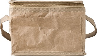Paper woven cooler bag