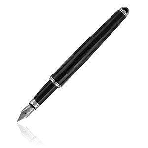 PIERRE CARDIN JACQUES Fountain pen