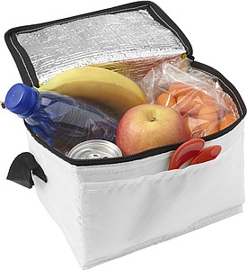 Polyester (210D) rectangular cooler bag