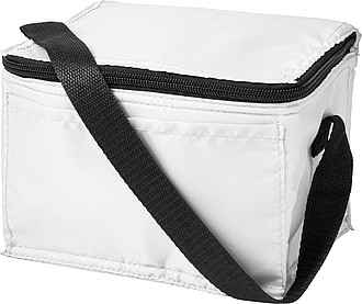 Polyester (210D) rectangular cooler bag