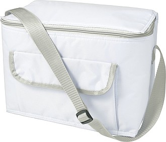 Polyester (420D) rectangular cooler bag