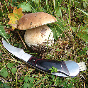 SCHWARZWOLF PILZ mushroom knife