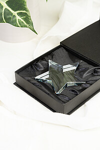 star trophy